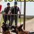 HOA Karen Calls 911 After Hacking My Ranch Gate 36 Seconds Later K9 Units Had Her Surrounded