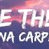 Sabrina Carpenter We Ll Be The Stars Lyrics
