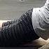 Funny Videos Of French Bulldogs That Will Make Your Day