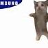 Happy Cat Sing Samsung Ringtone Happy Happycat Happycats Samsung Meme Funny