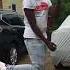 Bhad Bhabie Trust Me Ft Ty Dolla Ign