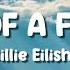 Billie Eilish BIRDS OF A FEATHER Lyrics