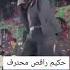 شو عل الرقص الحلو يا حكيم حكيم Subscribe مصر رقص شعبي رقصة ترند