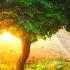 The Garden Of Eden