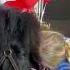 Together Forever Pony Daughter Kids Mothersday Love Shetlandpony