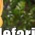 Ratchet Clank Rift Apart A Most Nefarious City Original Soundtrack