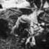 The Great War Narration Music Theme