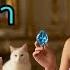 ฝ นเห นเพชรส ฟ า Blue Diamond