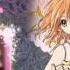 PolkaxRadiant Yume No Tsubasa Rus Radiant Records
