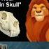Did Scar Ate Mufasa