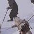Epic Ratonhnhaké Ton Killing Scene