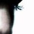 Alienoil Swallow Me