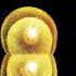 What Is Life A Nobel Prize Winning Scientist Answers Paul Nurse Full Interview