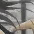 Skillet Comatose AMV Attack On Titan