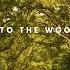 Into The Woods