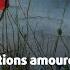 S Amour Dont Sui Espris