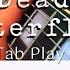 Architects Dead Butterflies Guitar Tab Playalong