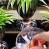 Don T Throw Away These Plastic Bottles