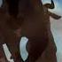 The Lion King 1994 Wildebeest Stampede With Healthbars 1K Subscribers Special