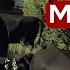 The Ranch Colorado Farming Simulator LS22 New American Map Trailer Review