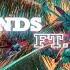 Big Gigantic Friends Feat Ashe Official Audio