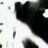 Ewil TheDemonDude DCXVI Prod By Pxlsdead Official Visualizer Video Made By Naturetrap420