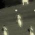 AC 130 Gunship Firing All Its Cannons Wipes The Floor With Insurgents ARMA 3 MilSim