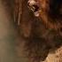 The Nemean Lion VS Hercules Hercules Movie Clip