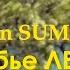 Verano Indio Indian Summer Бабье лето