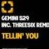 Gemini 529 Keep On Original Mix SK207