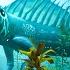 De Extinction In Subnautica Below Zero
