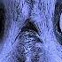 Owl Vision Death Fetish Album Cover