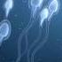 Causes Of Low Sperm Count Dr Rhythm Gupta Infertility And IVF Specialist At Excel IVF