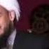 JELALETDİN AHUN TOYDAKY WAGZY 2