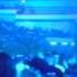 Mylene Farmer Timeless 2013