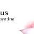 Descendus Fallen God Vocal Cover Drakengard 3 Cavatina