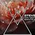Steve Tosi You Got The Love Santify Mix