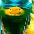 Teenage Mutant Ninja Turtles Shorts Sigmarule Ninjaturtle Ninja Style Attitude Sigma