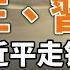 王岐山与习近平闹掰 习近平走错棋就是从这里开始的 政论天下第127集 20200306 天亮时分