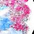 Paris Cafe Music Accordion Romantic French Music Dreams In Paris