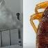 Pest Control Technician Fumigates Apartment As Bedbug Infestation Sweeps Paris