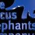 The Circus Elephants Company