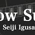 Mellow Sunset Seiji Igusa Ibanez HOLLOW BODIES