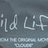 OneRepublic Wild Life Lyric Video