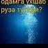 Рамазон ойида кайси хайвон рамазон ойида одамга ухшаб руза тутади