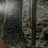 AOKIGAHARA The Most Haunted Forest In The World DEMON CAUGHT ON CAMERA JAPAN BANNED VIDEO