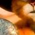 Puss In Boots I Was Always There Music Scene Henry Jackman
