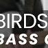 TURNSTILE BIRDS BASS COVER TABS