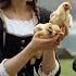 My Small RUSSIAN FARM 6 Eggs Every Day Fertile Soil Rabbits Goats Life Of A COUNTRY GIRL
