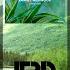 Progressive Trance Ramsey Westwood Less Is More Radio Mix